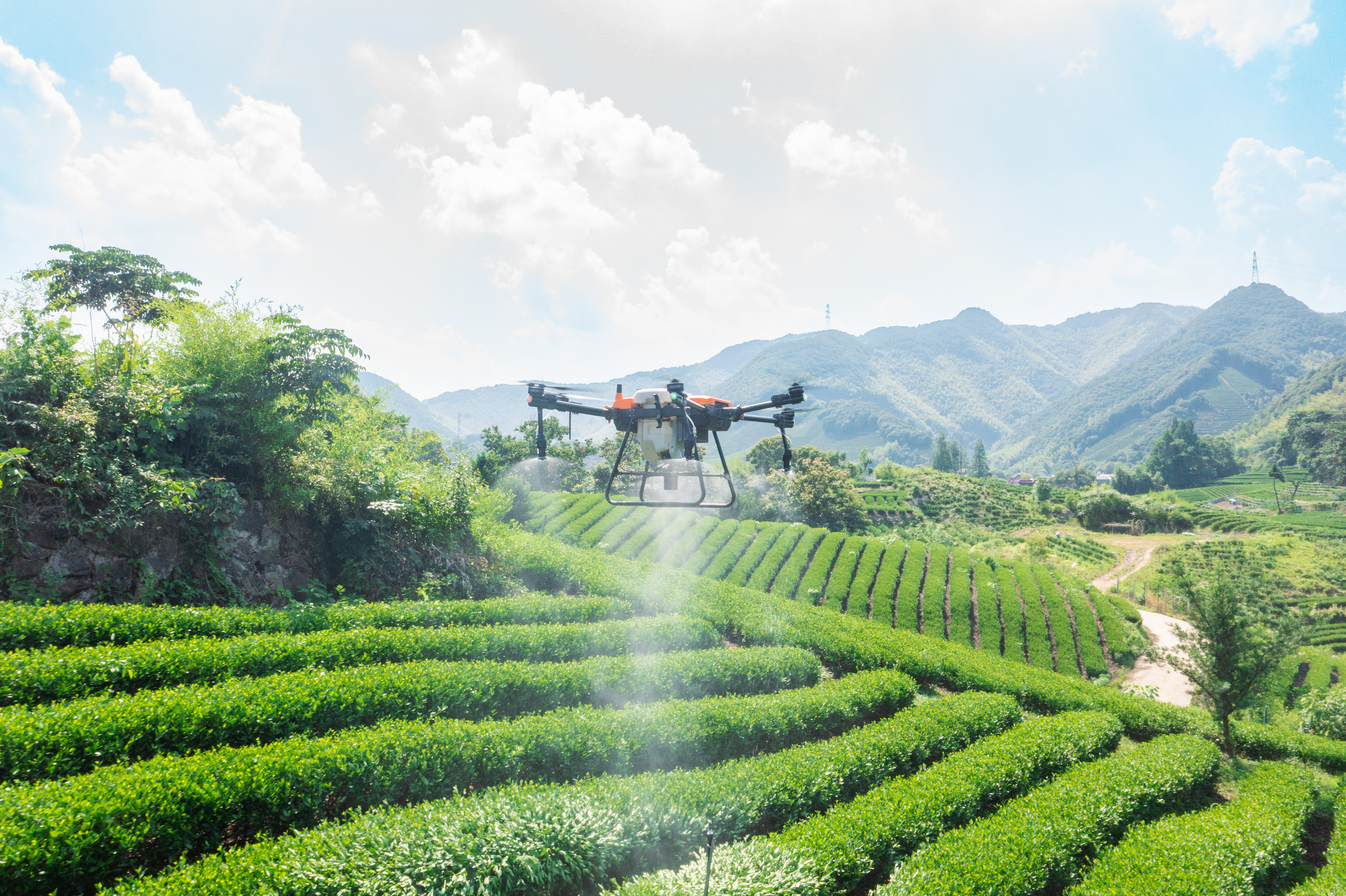 Drone Penyemprotan Tanaman