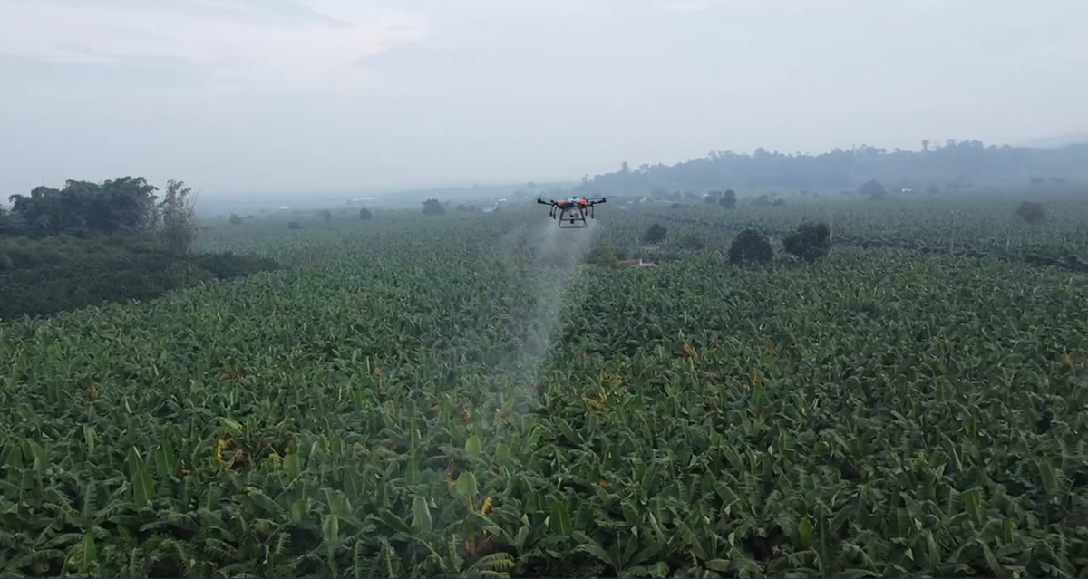 HD540Pro Melakukan Tugas Penyemprotan Pestisida di Kebun Pisang